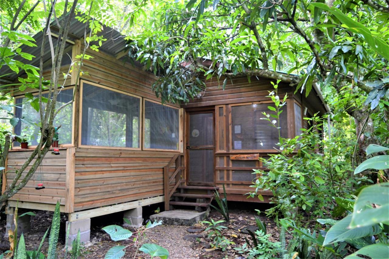 Iguana Roost Tourism Gold Standard Fully Equipped Two Bedroom Cabin ซานอิกนาซิโอ ภายนอก รูปภาพ