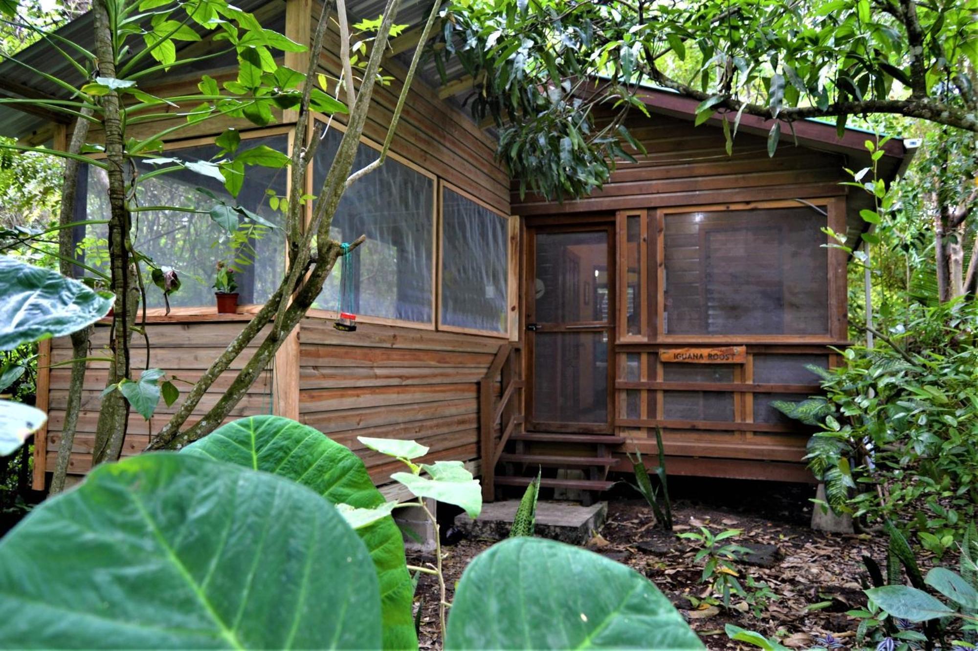 Iguana Roost Tourism Gold Standard Fully Equipped Two Bedroom Cabin ซานอิกนาซิโอ ภายนอก รูปภาพ
