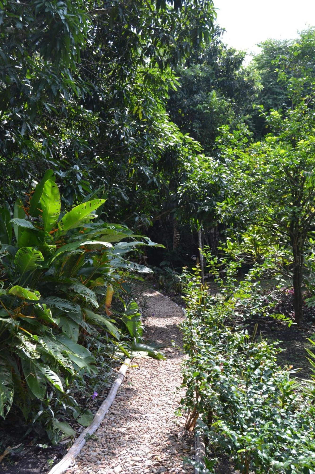 Iguana Roost Tourism Gold Standard Fully Equipped Two Bedroom Cabin ซานอิกนาซิโอ ภายนอก รูปภาพ